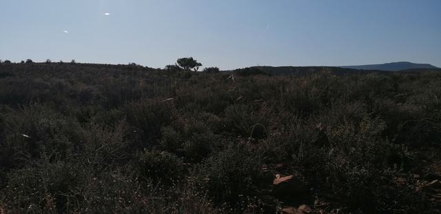 Commercial Property for Sale in Laingsburg Rural Western Cape